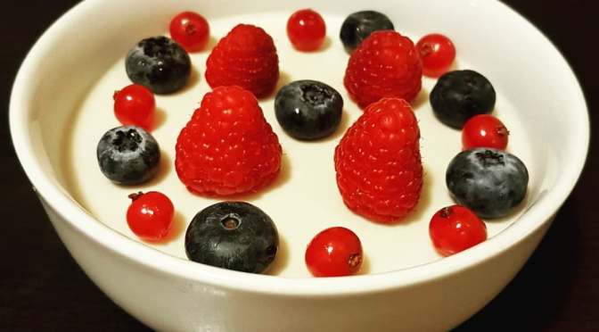 Coconut Pudding – AIP and Paleo